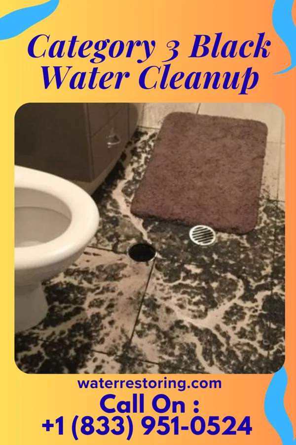 Category 3 Black Water Cleanup in Groveland, ID